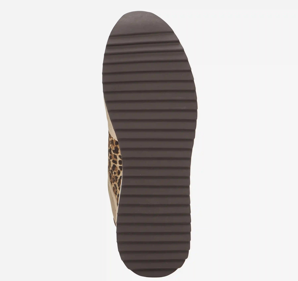 Gracie Colorblock Lace-Up - Sand Kid Suede/Leopard Haircalf