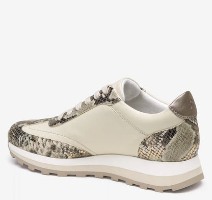 Piper T-Toe Lace-Up - Pewter Metallic Snake-Embossed Leather/Bone Glove Leather