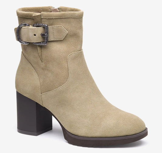 Izzie Buckle Bootie - Taupe Waterproof Suede